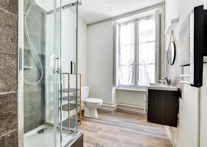 O Grand Carnot/hyper Centre/proche Gare Apartment *